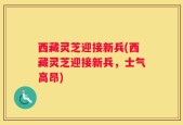 西藏灵芝迎接新兵(西藏灵芝迎接新兵，士气高昂)