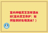 室内种植灵芝怎样洒水好(室内灵芝养护：如何恰到好处地浇水？)
