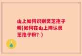 山上如何识别灵芝孢子粉(如何在山上辨认灵芝孢子粉？)