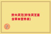野大灵芝(野生灵芝富含草本营养素)