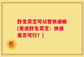 野生灵芝可以寄快递嘛(寄送野生灵芝：快递是否可行？)