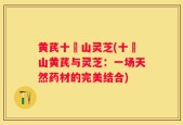黄芪十矷山灵芝(十矷山黄芪与灵芝：一场天然药材的完美结合)