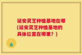 延安灵芝种植基地在哪(延安灵芝种植基地的具体位置在哪里？)