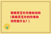 葛根灵芝片作用和功效(葛根灵芝片的作用和功效是什么？)