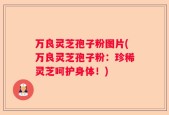 万良灵芝孢子粉图片(万良灵芝孢子粉：珍稀灵芝呵护身体！)