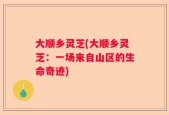 大顺乡灵芝(大顺乡灵芝：一场来自山区的生命奇迹)