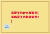 采灵芝为什么要留根(采摘灵芝为何需留根？)