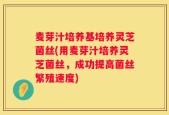 麦芽汁培养基培养灵芝菌丝(用麦芽汁培养灵芝菌丝，成功提高菌丝繁殖速度)