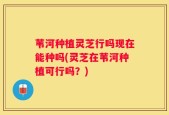苇河种植灵芝行吗现在能种吗(灵芝在苇河种植可行吗？)