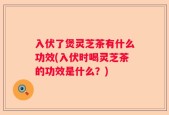 入伏了煲灵芝茶有什么功效(入伏时喝灵芝茶的功效是什么？)
