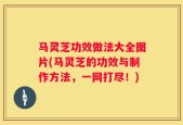 马灵芝功效做法大全图片(马灵芝的功效与制作方法，一网打尽！)