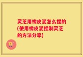 灵芝用橡皮泥怎么捏的(使用橡皮泥捏制灵芝的方法分享)
