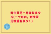 野生灵芝一月能长多少斤(一个月内，野生灵芝增重有多少？)