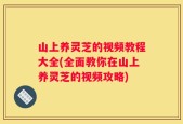 山上养灵芝的视频教程大全(全面教你在山上养灵芝的视频攻略)