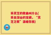 采灵芝的歌曲叫什么(采自深山的宝藏，“灵芝之歌”温暖你我)