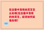 在古墓中发现肉灵芝怎么处理(在古墓中发现的肉灵芝，应该如何妥善处理？
