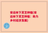 安远林下灵芝种植(安远林下灵芝种植：助力乡村经济发展)