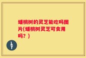 蟠桃树的灵芝能吃吗图片(蟠桃树灵芝可食用吗？)