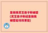 显微镜灵芝孢子粉破壁(灵芝孢子粉经显微镜破壁后功效更佳)