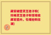 藏家破壁灵芝孢子粉(珍稀灵芝孢子粉惊现收藏家壁内，引爆抢购狂潮)