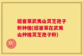 纽崔莱武夷山灵芝孢子粉种植(纽崔莱在武夷山种植灵芝孢子粉)