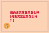 搜尚古灵芝盆景怎么样(尚古灵芝盆景怎么样？)