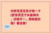 大野生灵芝多少钱一个(野生灵芝个头差别大，价格不一，想知道价格？看这里！