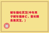 被车撞吃灵芝(中年男子被车撞身亡，曾长期食用灵芝。)