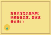 野生灵芝怎么盘玩的(玩转野生灵芝，尝试这些方法！)