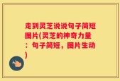 走到灵芝说说句子简短图片(灵芝的神奇力量：句子简短，图片生动)