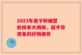 2023年孢子粉破壁机榜单大揭晓，超乎你想象的好物推荐
