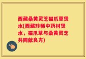 西藏桑黄灵芝猫爪草煲水(西藏珍稀中药材煲水，猫爪草与桑黄灵芝共同献良方)