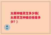太原种植灵芝多少钱(太原灵芝种植价格是多少？)
