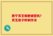 西宁灵芝细胞破壁机？灵芝孢子粉制作法