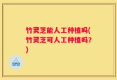 竹灵芝能人工种植吗(竹灵芝可人工种植吗？)