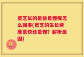 灵芝长的是快是慢呢怎么回事(灵芝的生长速度是快还是慢？解析原因)
