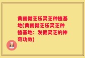 黄圃健芝乐灵芝种植基地(黄圃健芝乐灵芝种植基地：发掘灵芝的神奇功效)