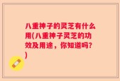 八重神子的灵芝有什么用(八重神子灵芝的功效及用途，你知道吗？)