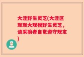 大洼野生灵芝(大洼区现现大规模野生灵芝，请采摘者自觉遵守规定)
