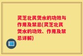 灵芝北芪煲水的功效与作用及禁忌(灵芝北芪煲水的功效、作用及禁忌详解)