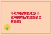 小红书仙客来灵芝(小红书拥有仙客级别的灵芝推荐)