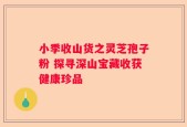 小季收山货之灵芝孢子粉 探寻深山宝藏收获健康珍品