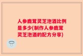 人参鹿茸灵芝泡酒比例是多少(制作人参鹿茸灵芝泡酒的配方分享)