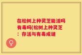 在松树上种灵芝能活吗有毒吗(松树上种灵芝：存活与有毒成谜