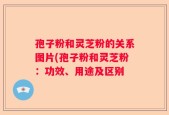 孢子粉和灵芝粉的关系图片(孢子粉和灵芝粉：功效、用途及区别