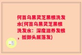 何首乌黑灵芝黑根洗发水(何首乌黑灵芝黑根洗发水：深度滋养发根，抵御头屑落发)