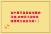 青州灵芝盆景直播基地在哪(青州灵芝盆景直播基地位置在何处？)