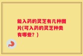 能入药的灵芝有几种图片(可入药的灵芝种类有哪些？)