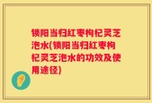 锁阳当归红枣枸杞灵芝泡水(锁阳当归红枣枸杞灵芝泡水的功效及使用途径)