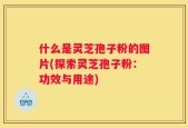 什么是灵芝孢子粉的图片(探索灵芝孢子粉：功效与用途)